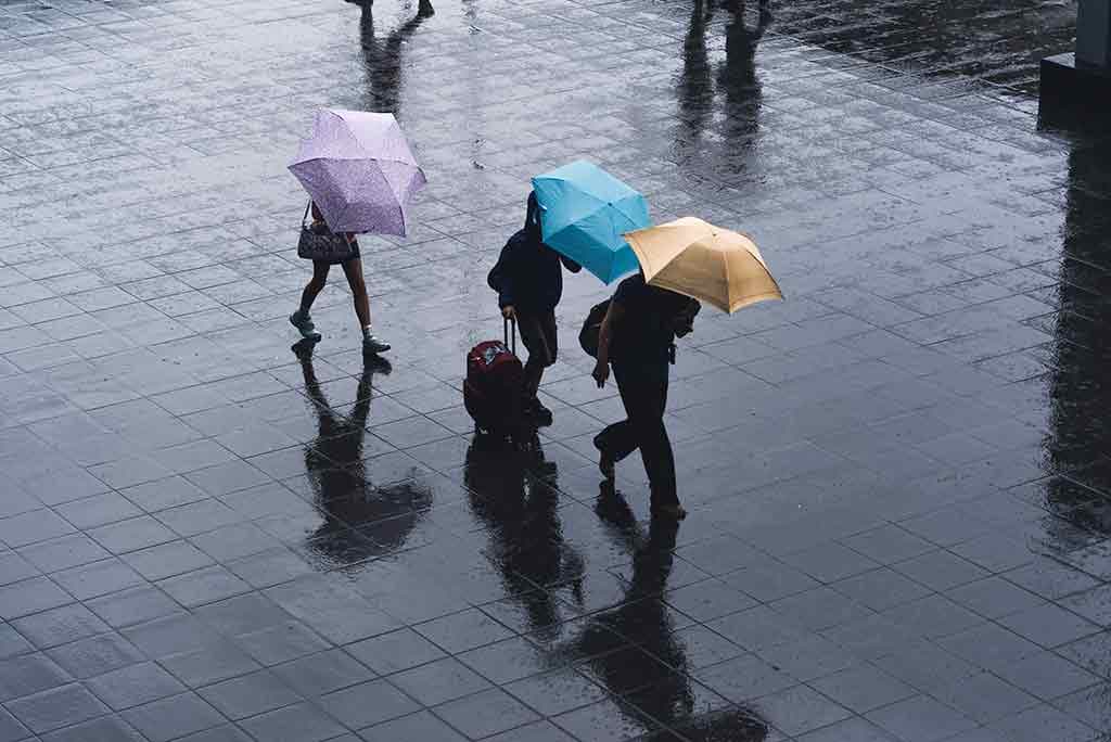 Unwetter mit Starkregen © Ryoji Iwata, Unsplash